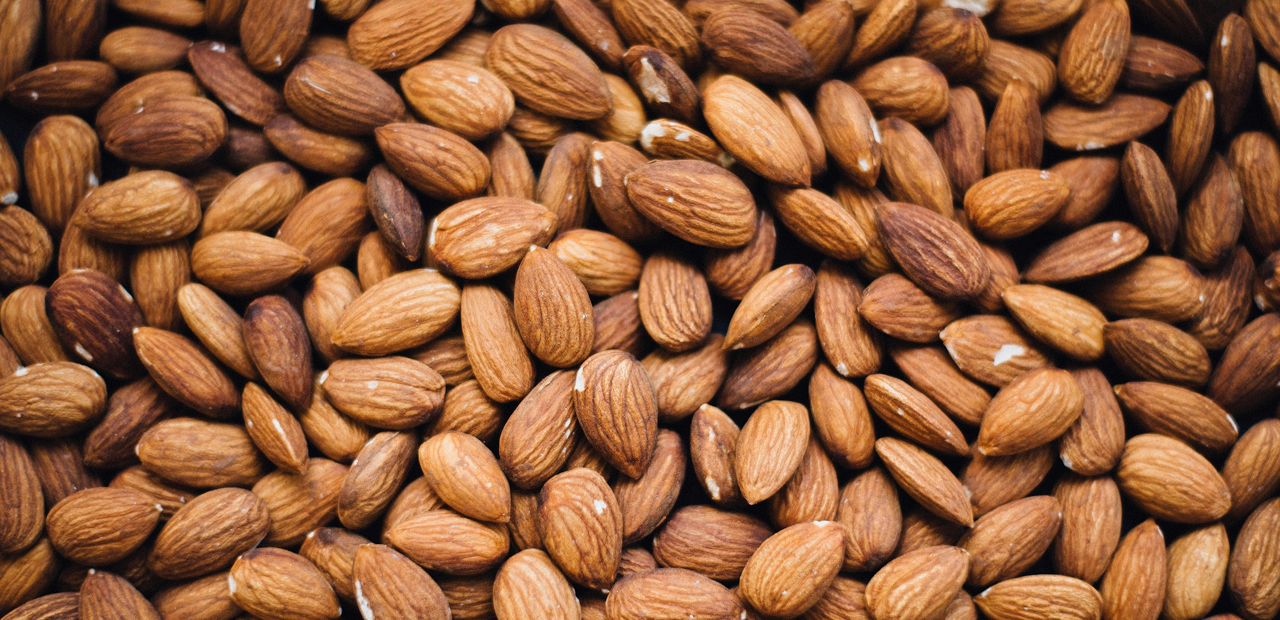 Almond Market: Trade Uncertainty Sparks Sustainable Opportunities Between Canada and the EU